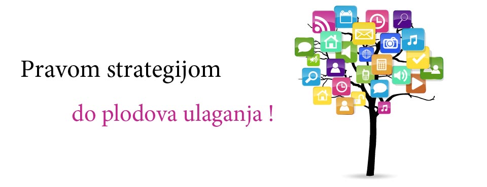 Odabir prave strategije za određeno poslovanje je ključan za dugoročni razvoj interent poslovanja.
