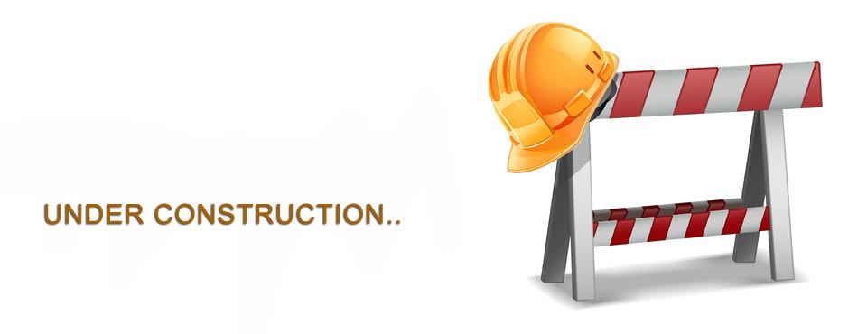 Webpage 'Hosting and support' is still under construction. Visit us soon for new informations.